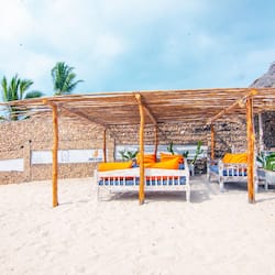 Bar de playa