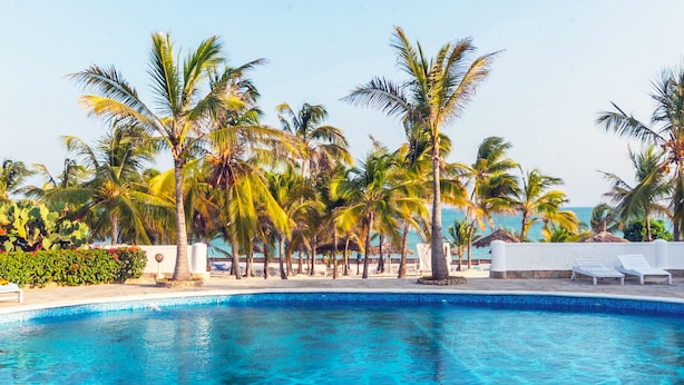 Una piscina azul cristalina rodeada de palmeras y sillas de descanso blancas.