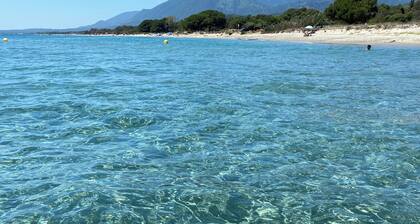 Quiet house in nature, large swimming pool,beach 2 kms away,3 bedrooms, sea view