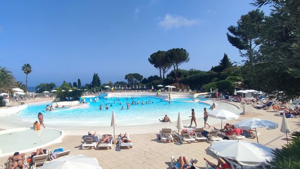 A large outdoor swimming pool surrounded by lounge chairs and umbrellas, with palm trees and a clear sky in the background.