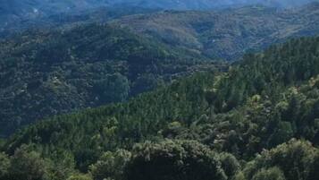 A mountainous landscape with grazing animals.
