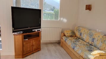 Fernseher, Bücher