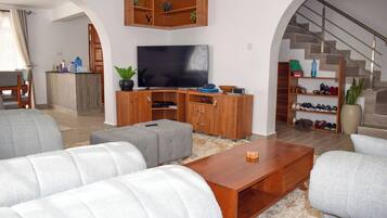 TV connectée, cheminée, lecteur de DVD, baby-foot