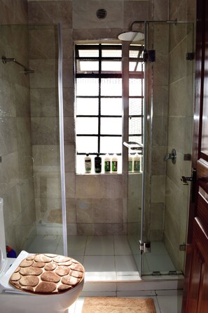Combined shower/tub, eco-friendly toiletries, hair dryer, towels
