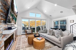 TV, fireplace, books, stereo