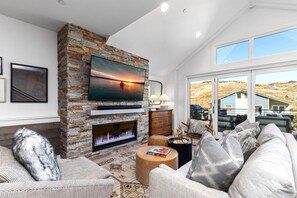 Télévision, cheminée, livres, chaîne hi-fi