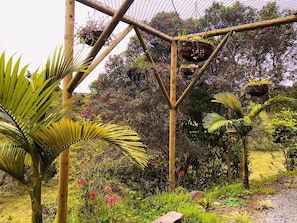 A garden with a wooden trellis structure, various plants, and hanging baskets.