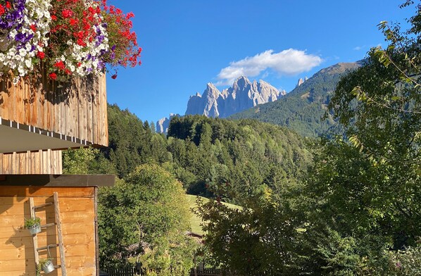 Property grounds - Holiday Accommodation "Valentin 36 Apartment Raschötz" with Wi-Fi and balcony (Funes)