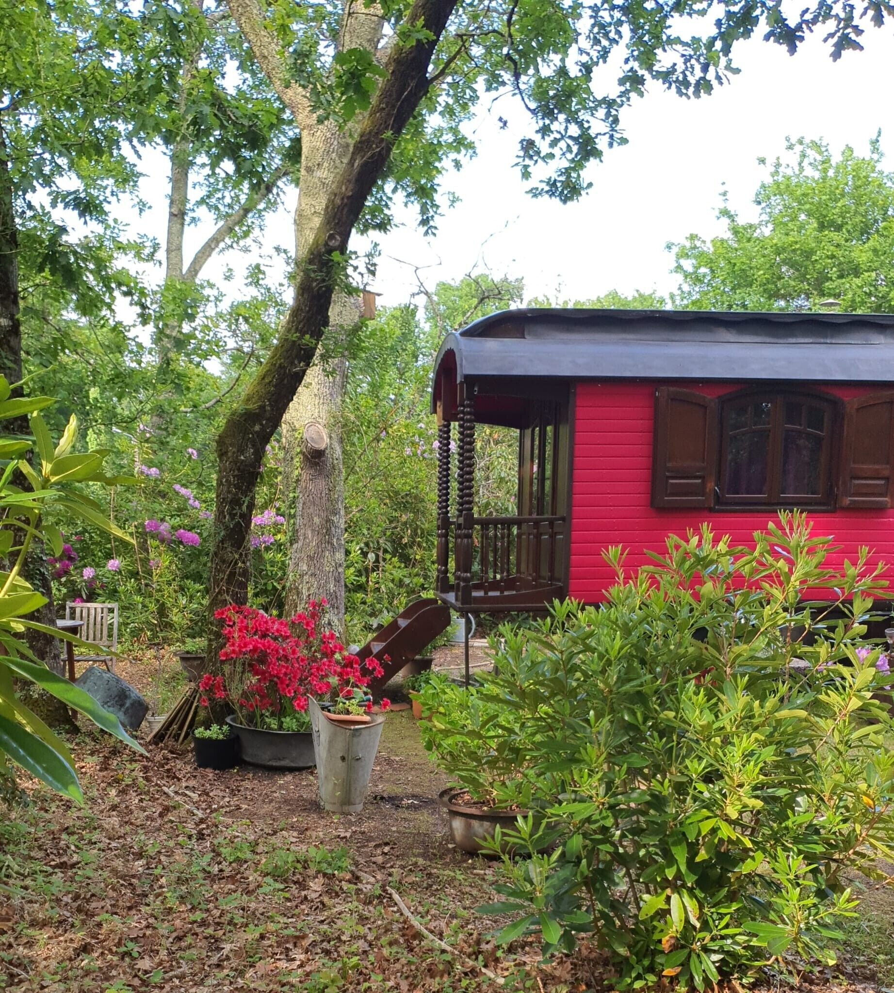 Une cabane rouge avec un porche, entourée d’une végétation luxuriante et de plantes en fleurs.