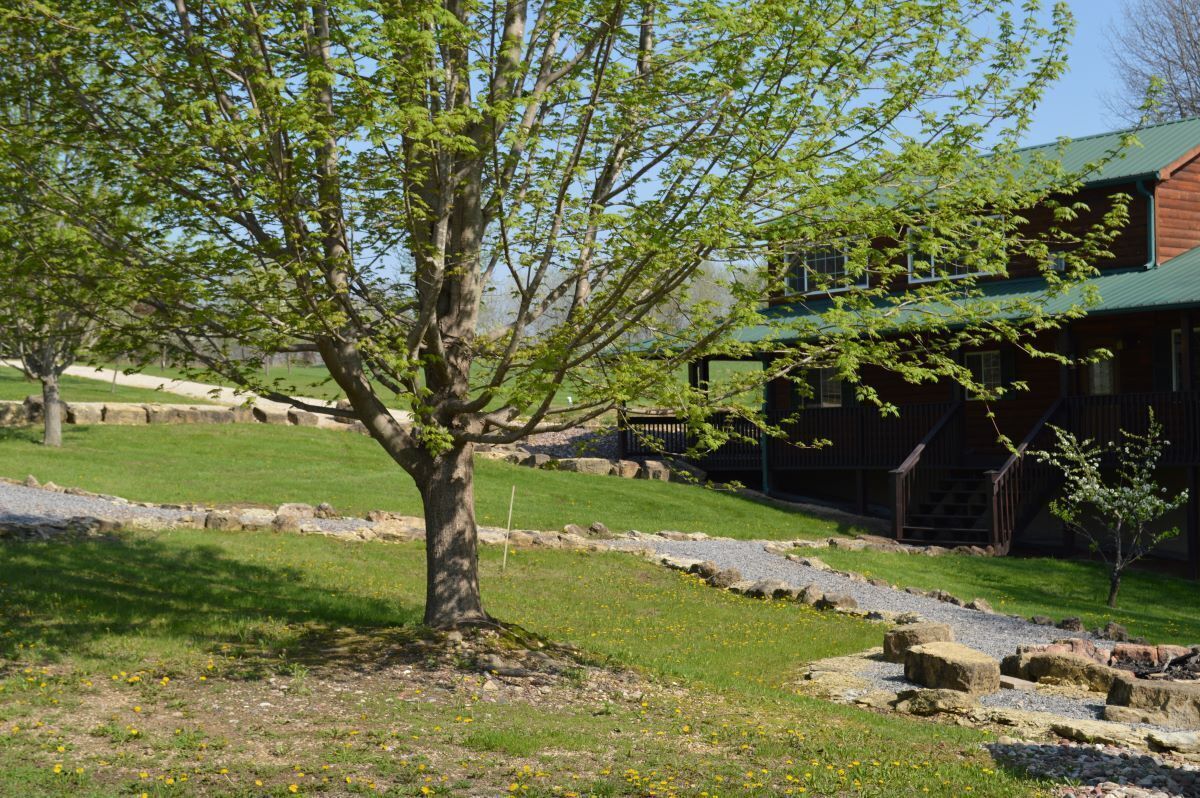 A rustic cabin with a green roof, surrounded by a grassy area with a tree and a stone pathway.