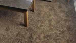 Ett vardagsrum med en soffa, ett soffbord och ett sidobord med en lampa och en växt.