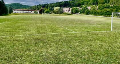 New! Ideal location! Walk to Town! Family Fun! Mountain/Park Views! Pet Friendly