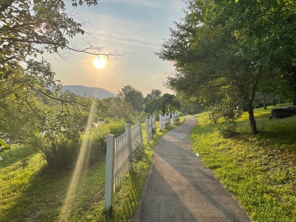 Property grounds - New! Ideal location! Walk to Town! Family Fun! Mountain/Park Views! Pet Friendly (Ellicottville)