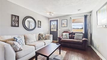 TV connectée, cheminée, livres, chaßne hi-fi