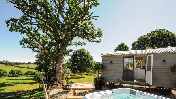 A hot tub with a wooden deck, a small wooden structure with a door, and a large tree in a rural setting.