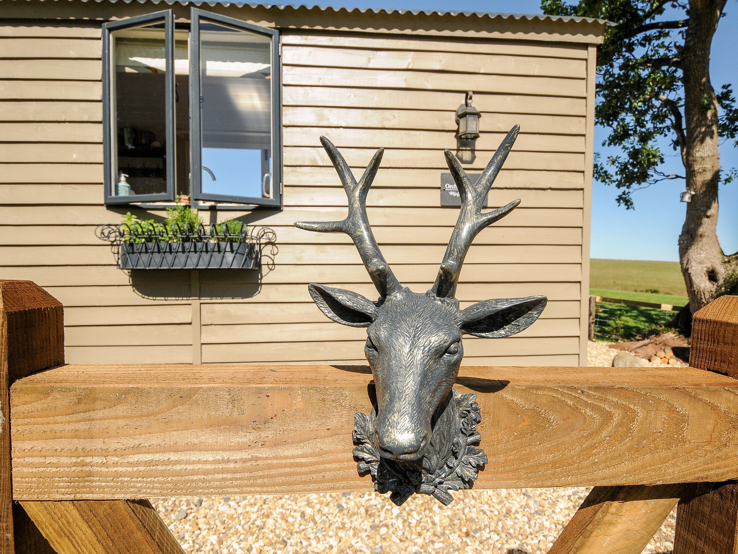 Une table en bois, ornée d’une sculpture représentant une tête de cerf, se trouve devant une maison dotée d’une fenêtre et d’un pot de fleurs suspendu.