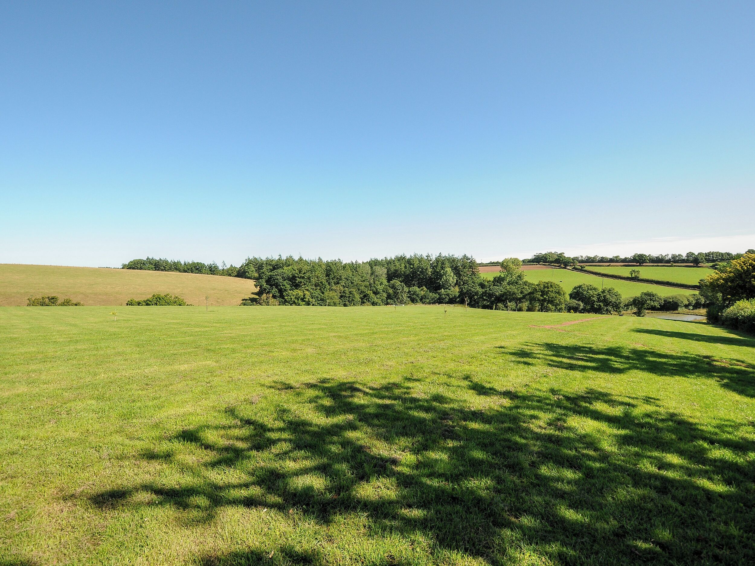 A vast green field with scattered trees and a clear blue sky.
