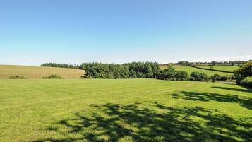 A vast green field with scattered trees and a clear blue sky.