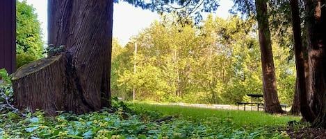 Terrain de lâhĂ©bergement