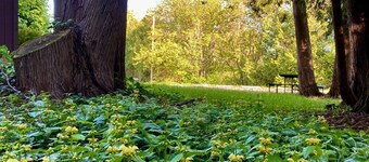 Roomy Central U.P. Townhouse APT near Lake Michigan, Pictured Rocks. Hunt, fish!