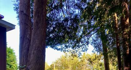 Roomy Central U.P. Townhouse APT near Lake Michigan, Pictured Rocks. Hunt, fish!