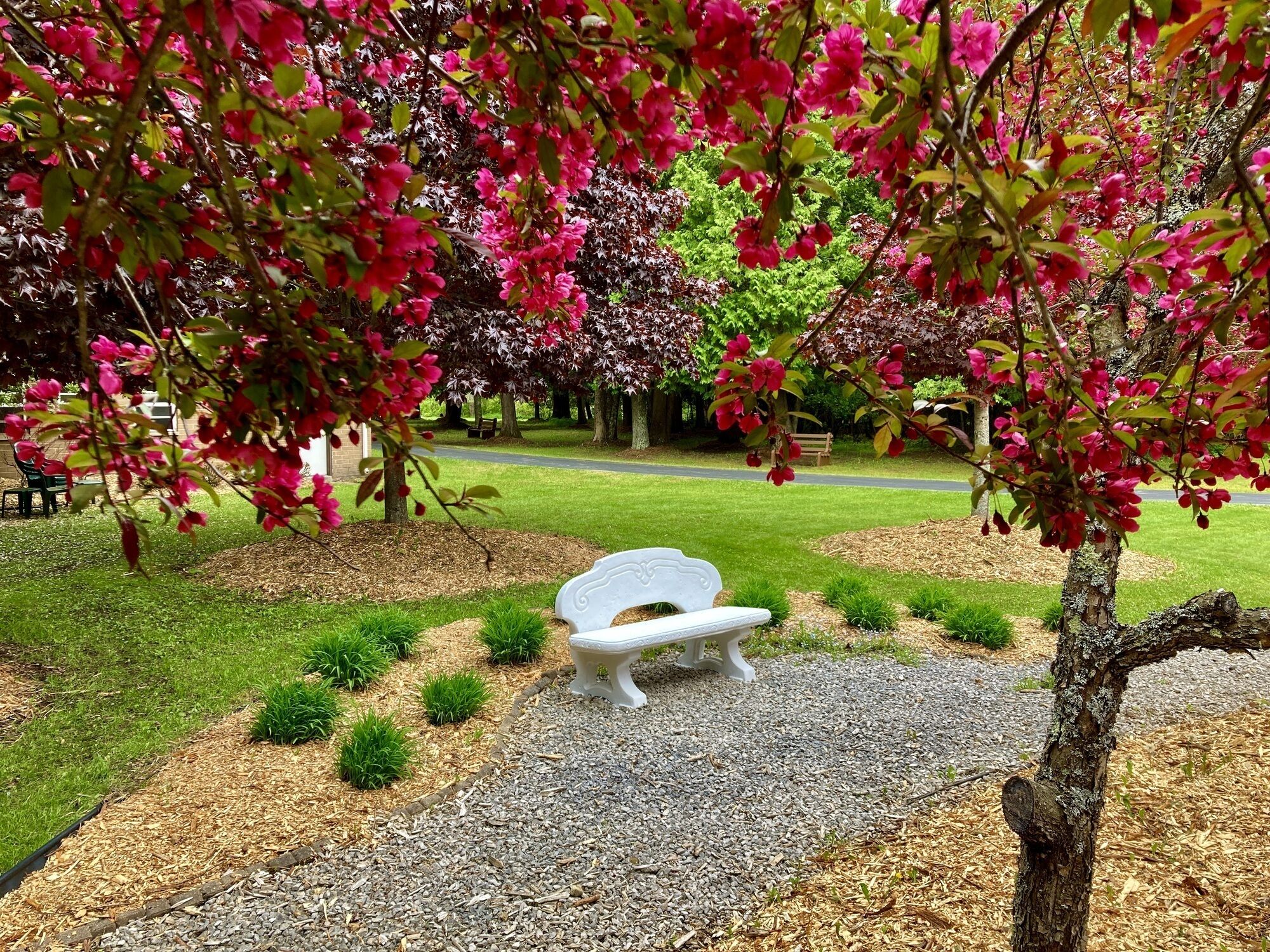 Overnatningsstedets område