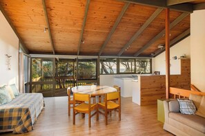 TV, fireplace, books