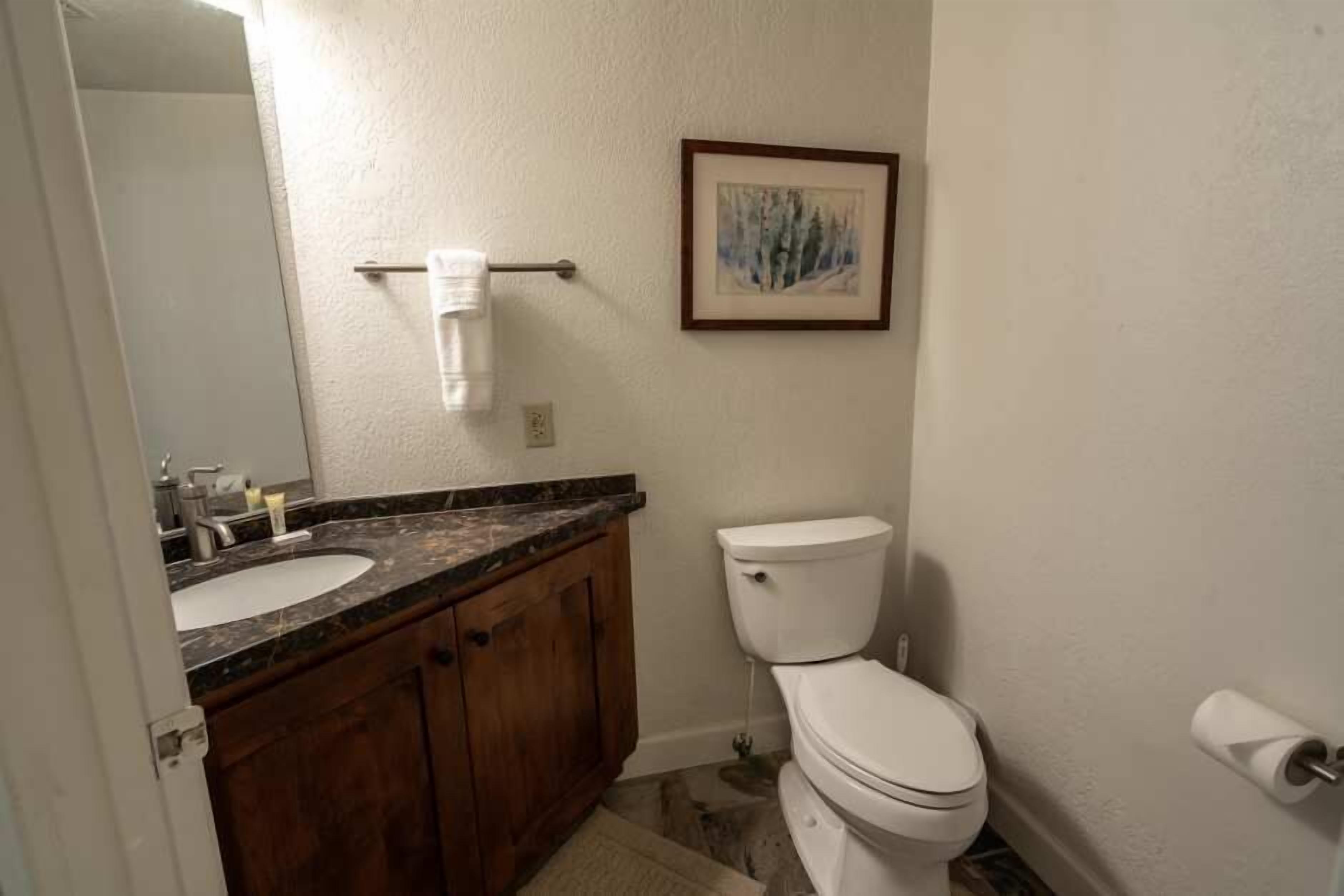 A bathroom with a white toilet, a wooden vanity with a marble countertop, a framed painting on the wall, and a towel rack.