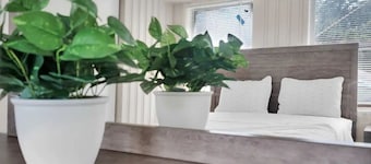 Heart of the City Townhouse, 3 Queens, Laundry