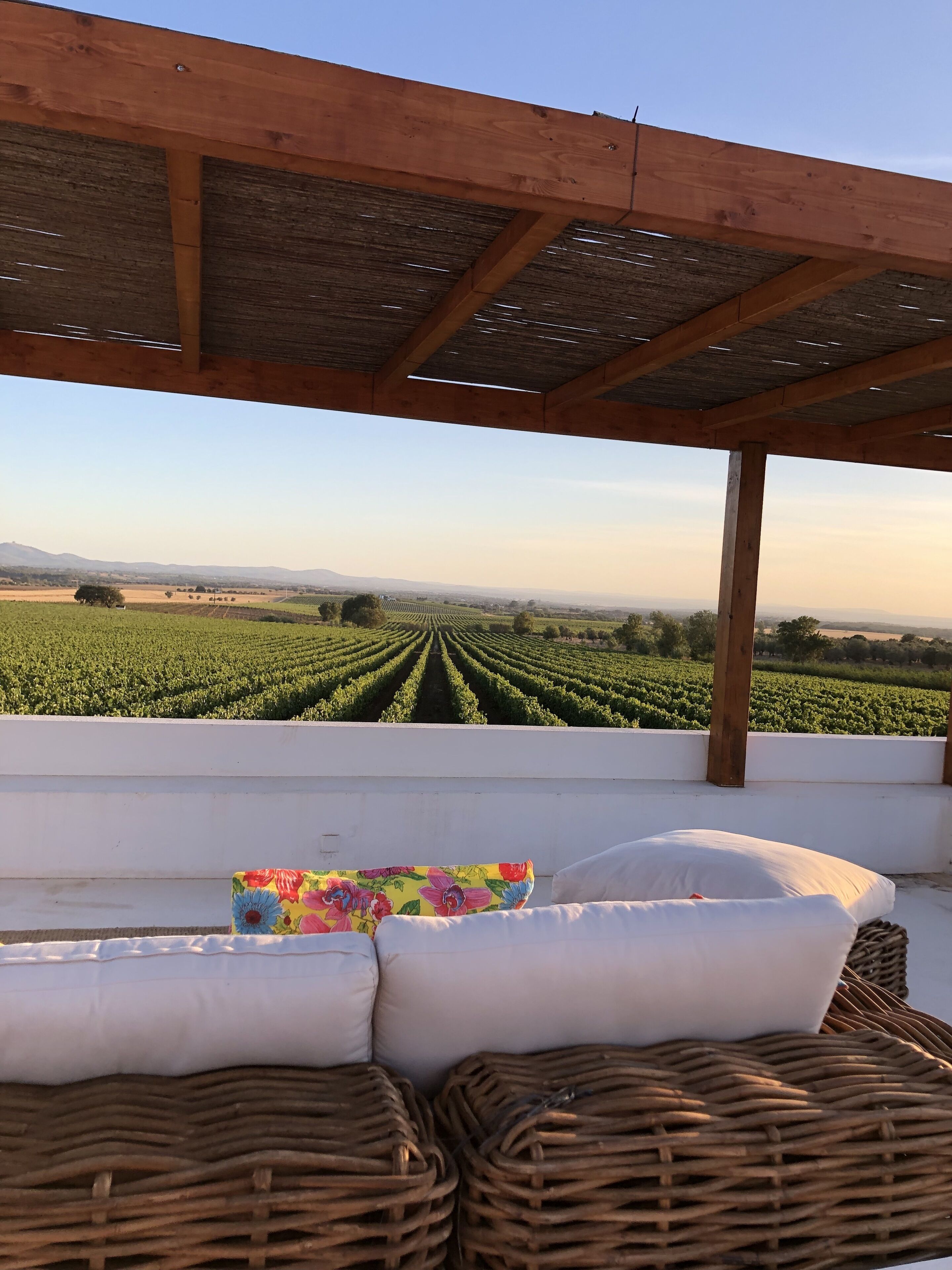 Áreas de la propiedad