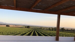 A covered outdoor seating area with a view of a vineyard. - Countryside villa in the most magnificent views of Alentejo (Estremoz)
