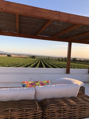 Property grounds - Countryside villa in the most magnificent views of Alentejo (Estremoz)