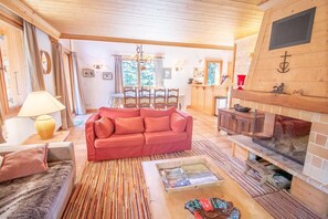 TV, fireplace, books