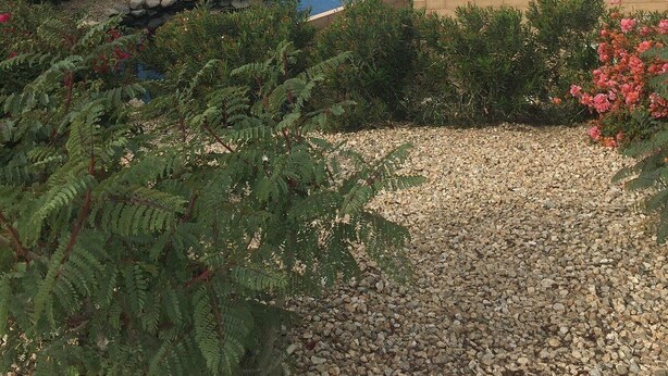 Un jardin aménagé avec un bassin, des palmiers et diverses espèces d’arbustes.