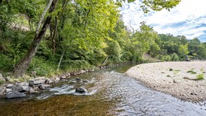 Une rivière qui traverse une zone boisée, avec des berges rocheuses et une végétation luxuriante.