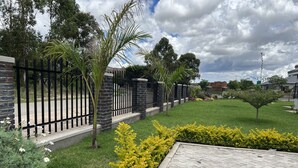 A landscaped garden with a paved walkway, stone walls, and a variety of plants including yellow flowers and a palm tree.