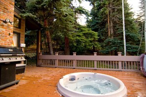 Spa - Private Home on Vail Mountain 324 Beaver Dam (Vail)