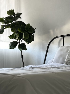 2 camere, ferro/asse da stiro, Wi-Fi gratuito, lenzuola