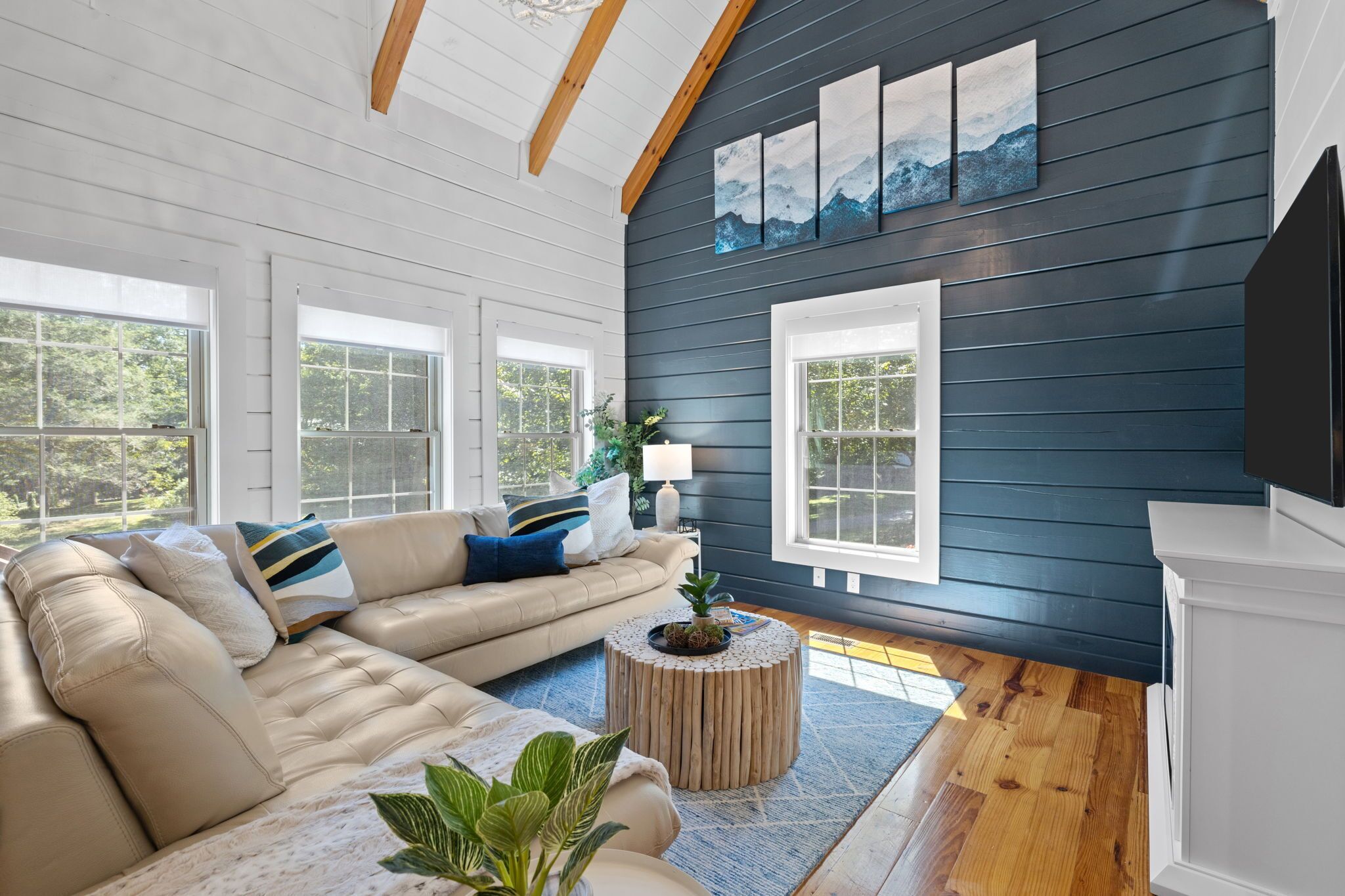 Smart-TV, peis, fotballspill og bøker