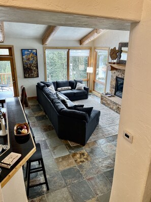 Televisión, chimenea, reproductor de DVD y libros 