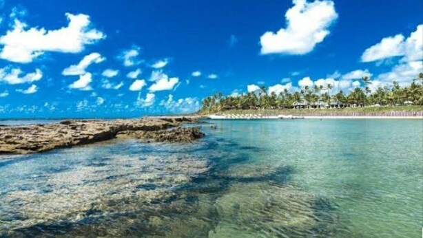 A coastal scene with clear blue water, rocky outcrops, and a line of palm trees under a bright blue sky. - Flat Luxo Térreo Nannai Residence (Ipojuca)