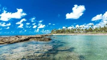 Appartement | Strand | Aan het strand, wit zand, ligstoelen aan het strand, 12 strandbars
