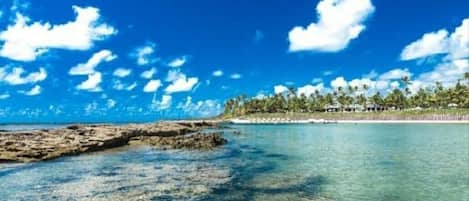 Lejlighed | Strand | På stranden, hvidt sand, liggestole, 12 strandbarer