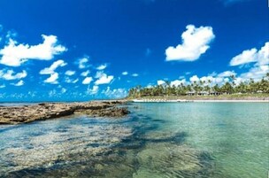 Lägenhet | Strand | På stranden, vit sandstrand, solstolar och 12 strandbarer