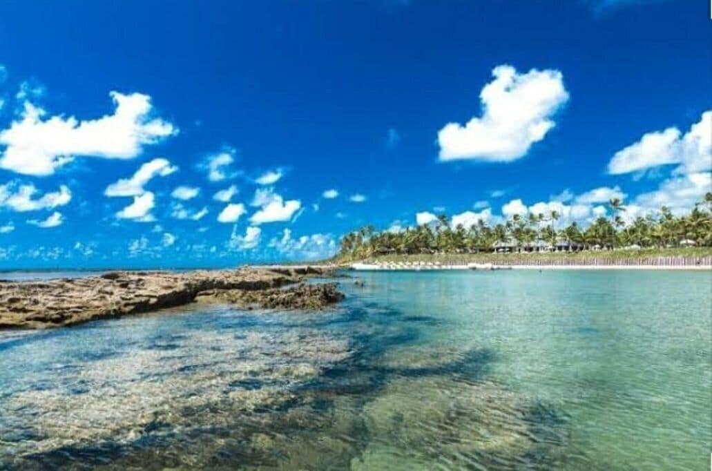 公寓 | 海灘 | 海灘、白沙、躺椅、12 間海灘酒吧