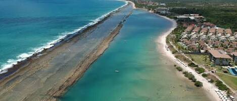Lägenhet | Strand | På stranden, vit sandstrand, solstolar och 12 strandbarer