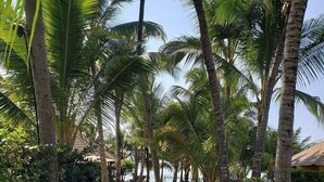 A stone pathway lined with palm trees, leading to a building with a tiled roof. - Flat Luxo Térreo Nannai Residence (Ipojuca)