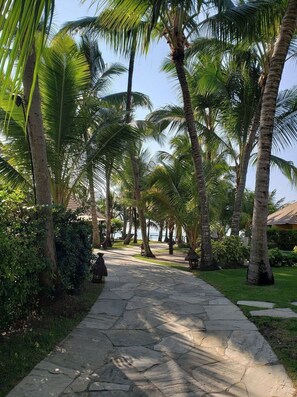 Apartment | Property grounds
