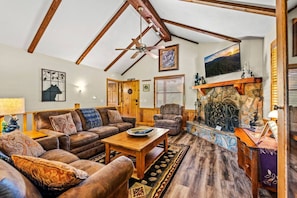 TV, fireplace, books