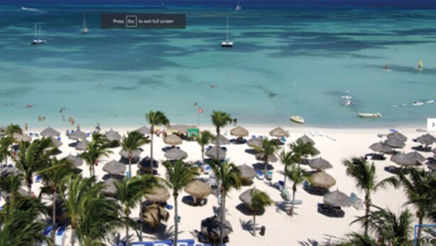 Une plage avec de nombreux parasols et des palmiers.